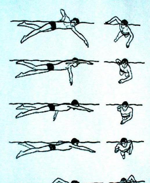 Техника плавания кролем для начинающих в картинках пошагово видео уроки
