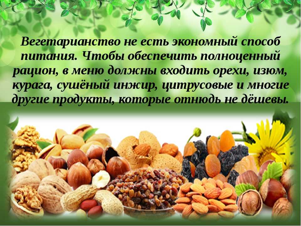 Плюсы и минусы вегетарианства проект