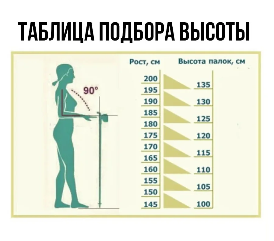 Какая нужна длина. Палки для скандинавской ходьбы таблица роста. Длина палок для скандинавской ходьбы по росту таблица. Высота палок для скандинавской ходьбы по росту. Высота палок для скандинавской ходьбы при росте 164.