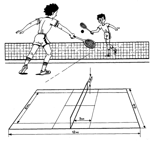 Теннис большой правила для начинающих с картинками игры