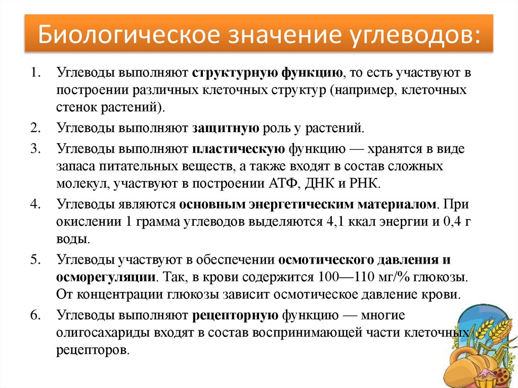 Углеводы и их роль в живой природе презентация