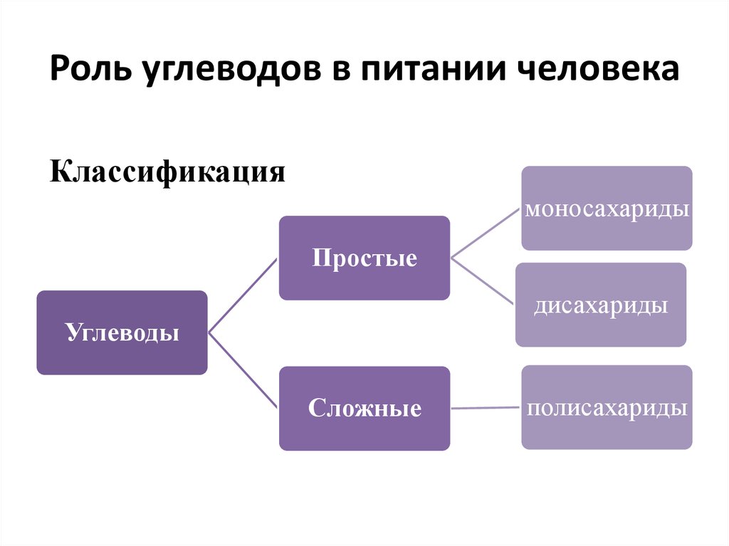 Углеводы и их роль в живой природе презентация