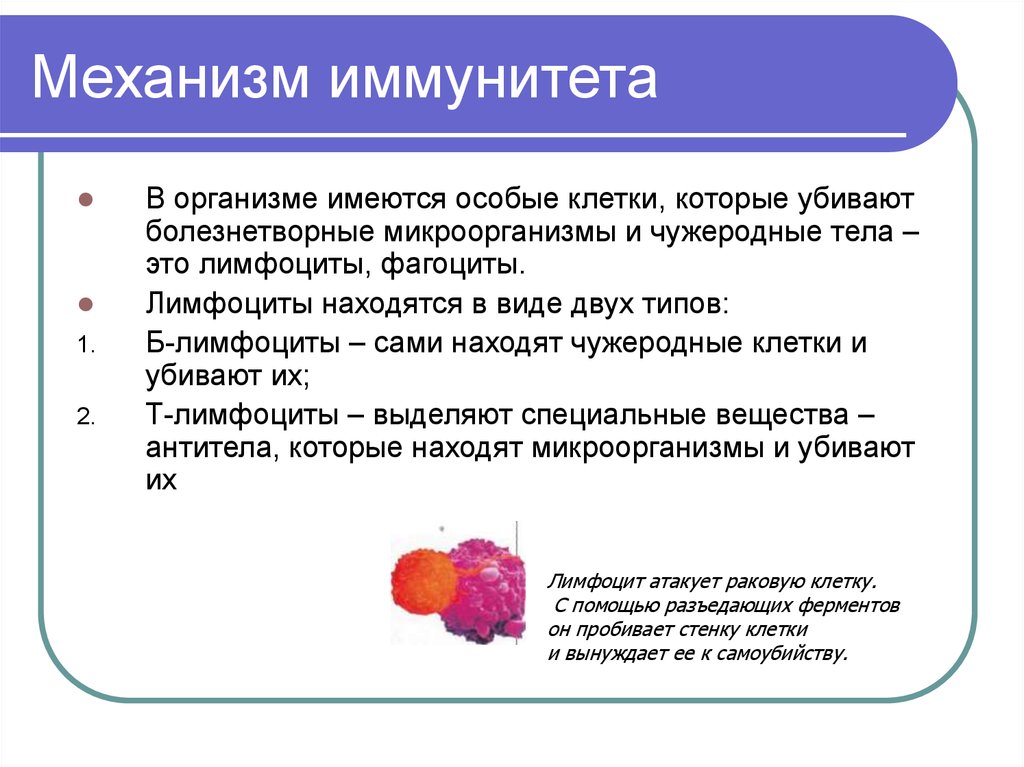 Иммунитет нарушения иммунной системы человека вакцинация 8 класс презентация пасечник