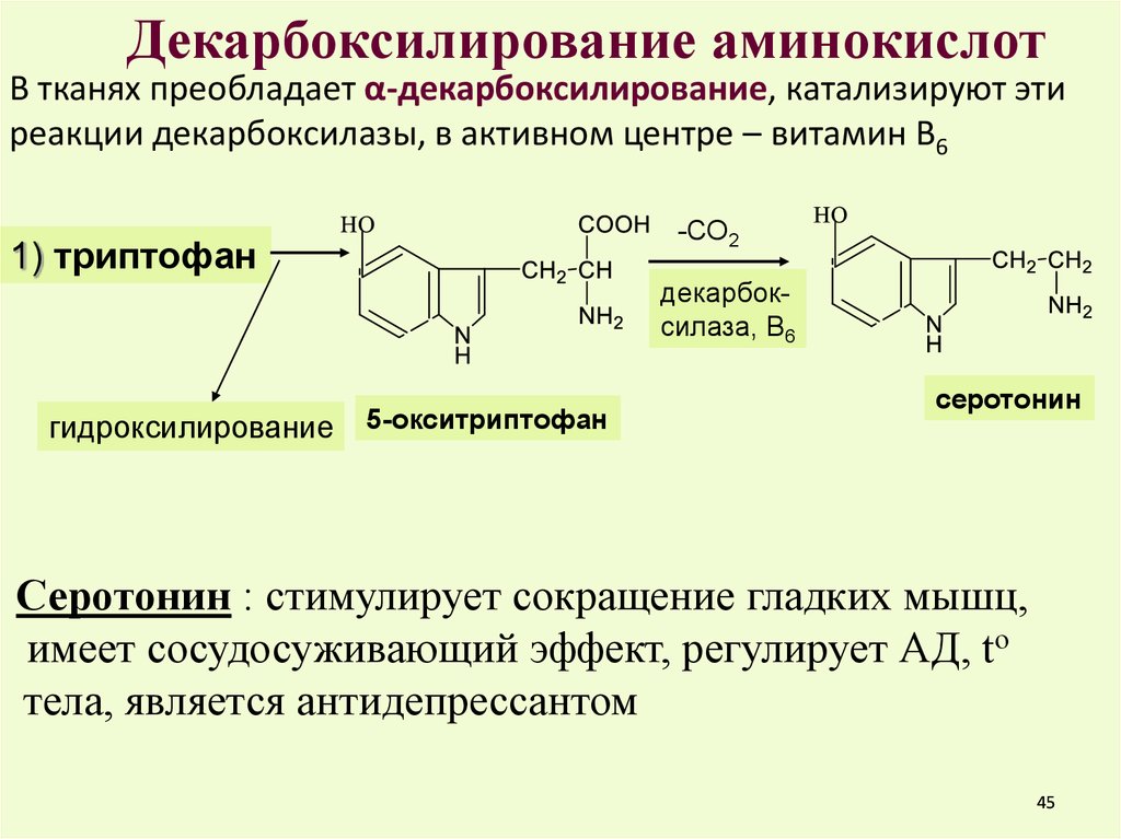 Схема получения аминокислот