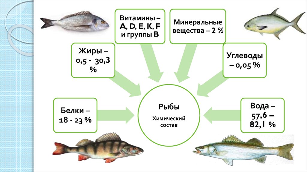 Прайс рыба