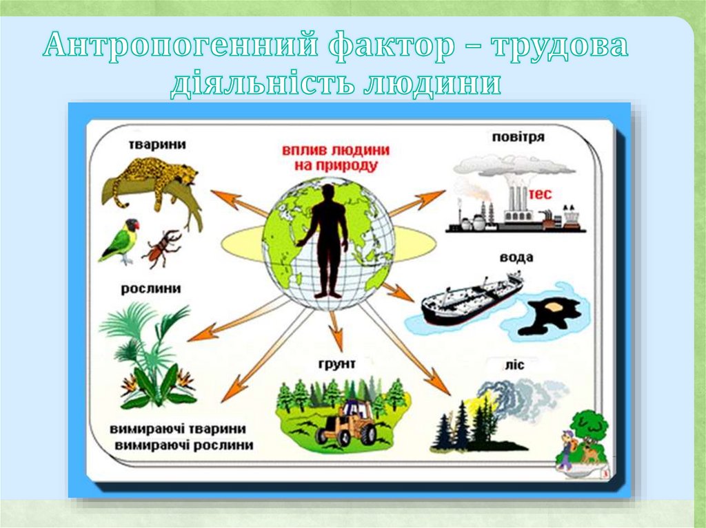 Проект человек и природа 5 класс биология