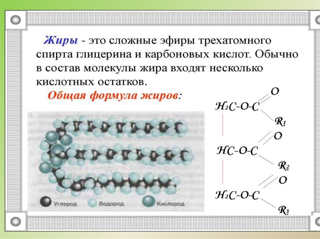 Строение жиров картинка