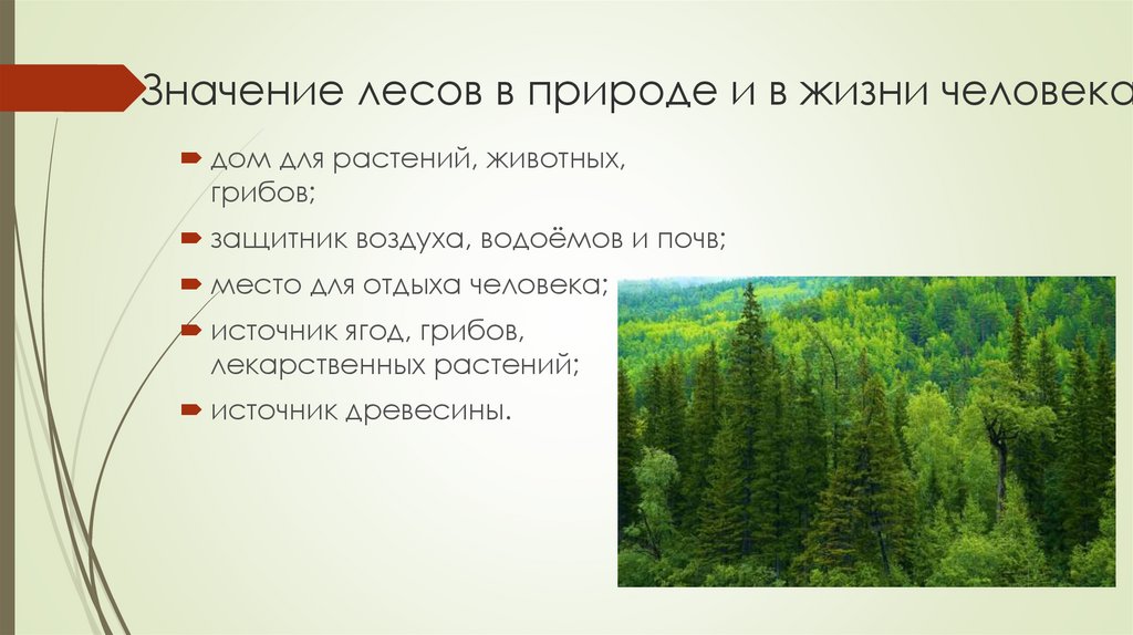 Значение леса в жизни северян 3 класс морянка схема