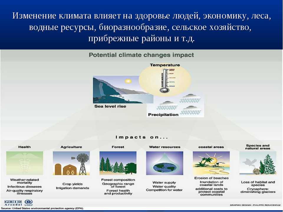 Как глобальное потепление изменит наш образ жизни в будущем презентация