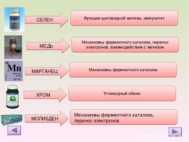 Селен презентация по химии