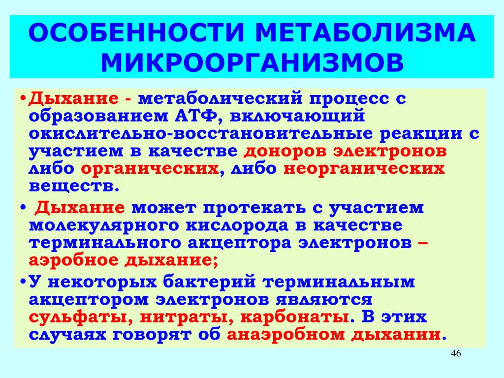 Что такое метаболизм в волосах