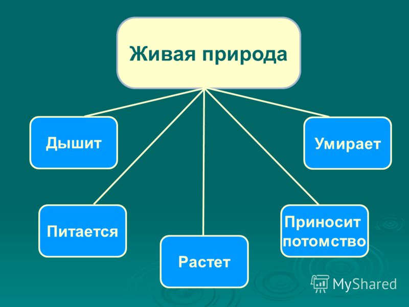 Человек и природа диаграмма