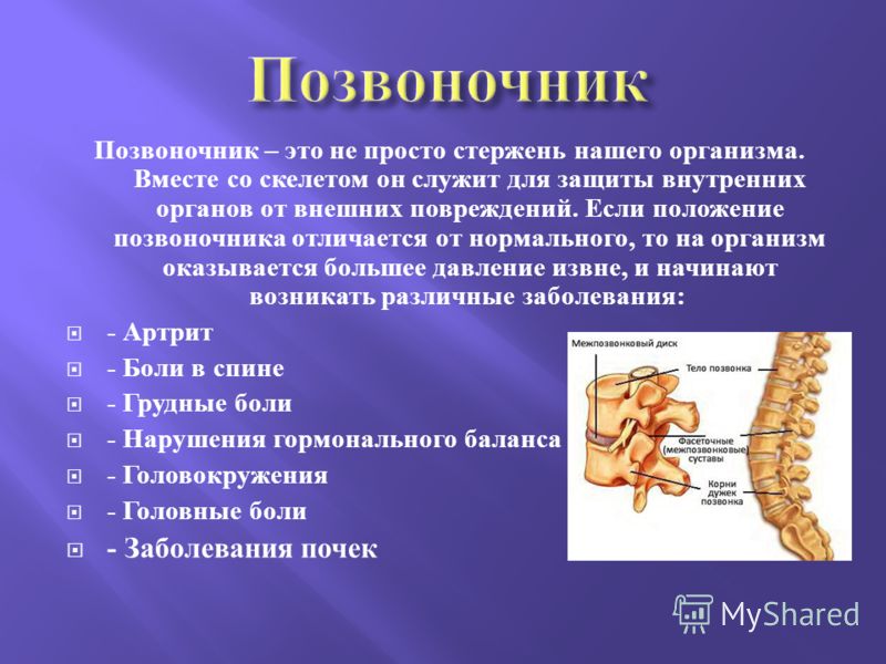 Презентация про позвоночник