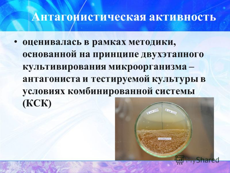 Микробного антагонизма схема