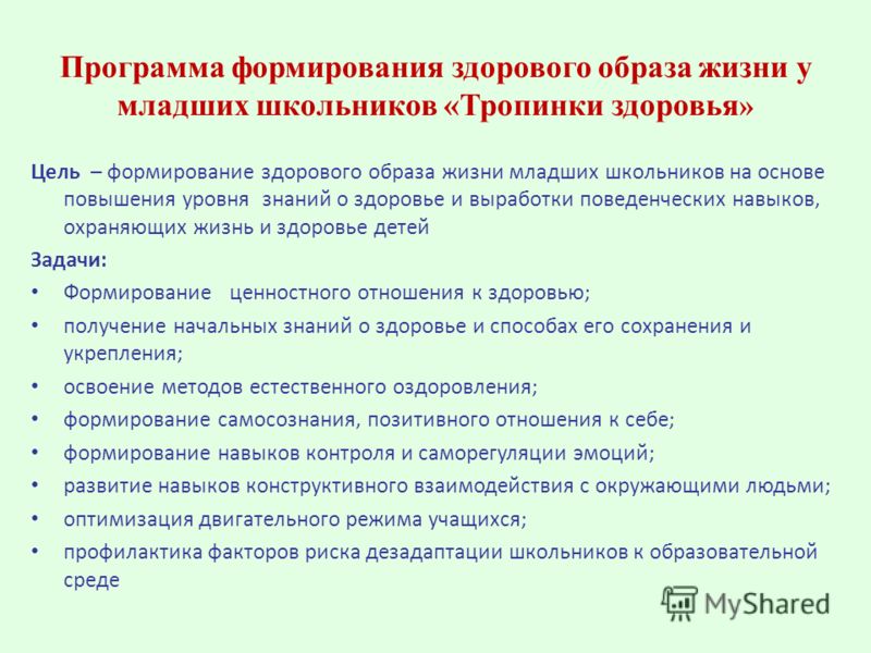 Программа формирования навыка