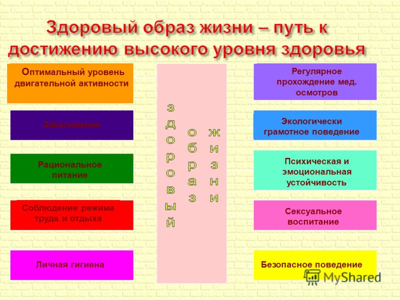 Здоровый образ обж 8 класс. Основы здорового образа жизни ОБЖ. Составляющие здорового образа жизни ОБЖ. Здоровый образ жизни путь к достижению высокого уровня здоровья. Основы здорового образа жизни кратко.