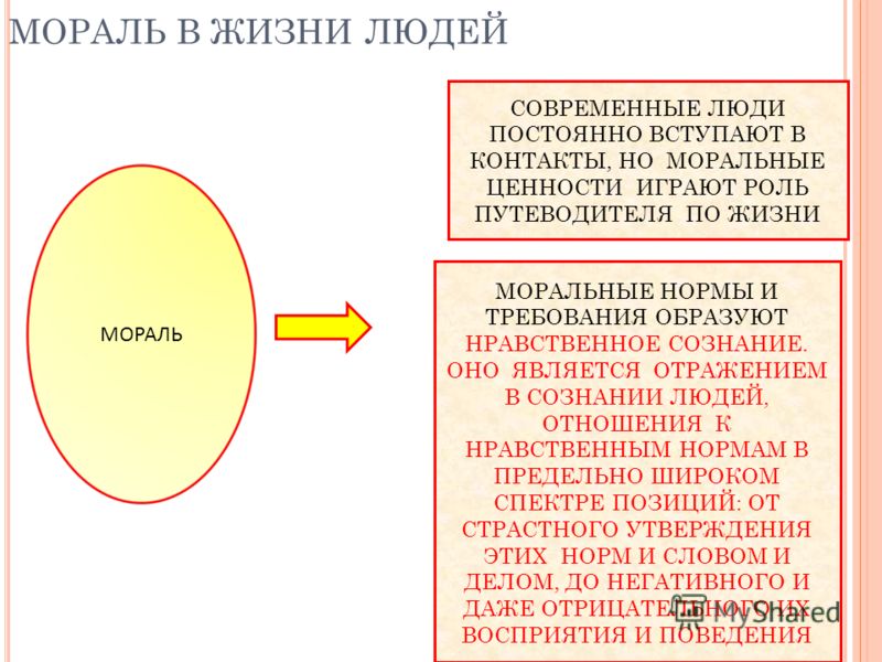 Мораль в обществе. Роль морали в современном мире. Нормы морали современного общества.