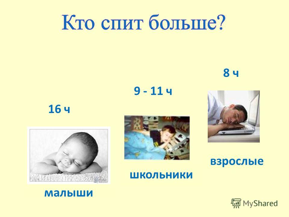 Тема стихотворения сон