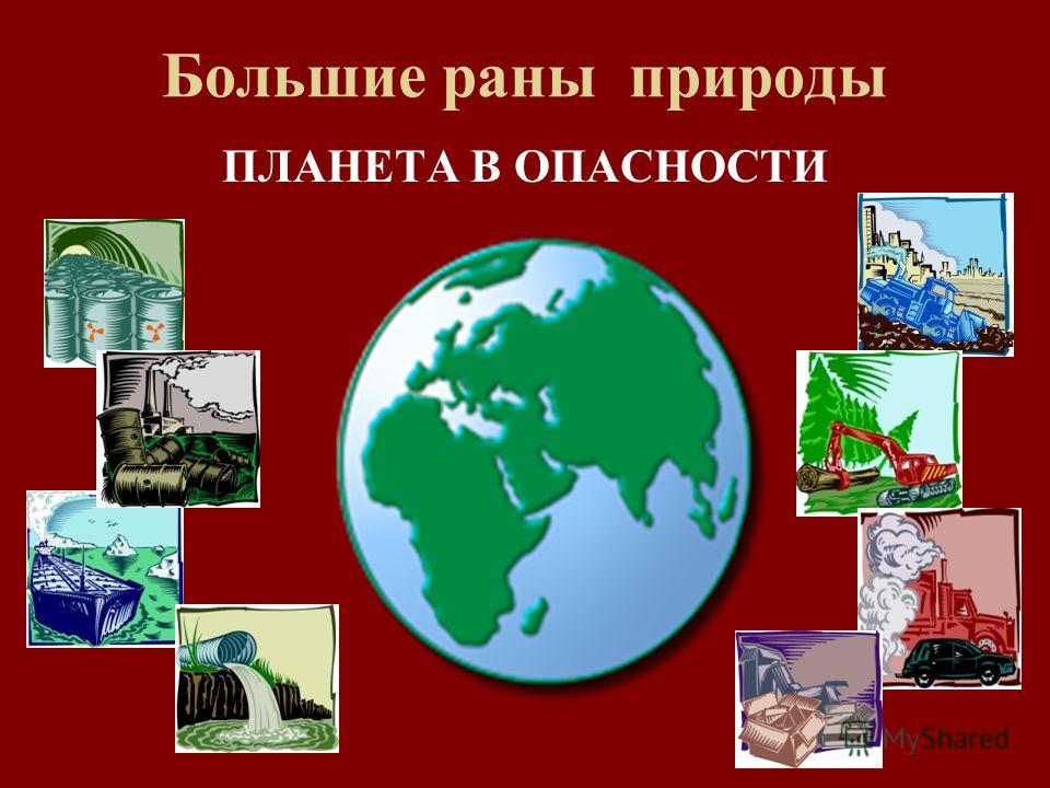 Опасность в мире природы. Доклады на тему большие раны природы. Сообщение о больших ранах природы. Маленькие и большие раны природы. О маленьких ранах природы.