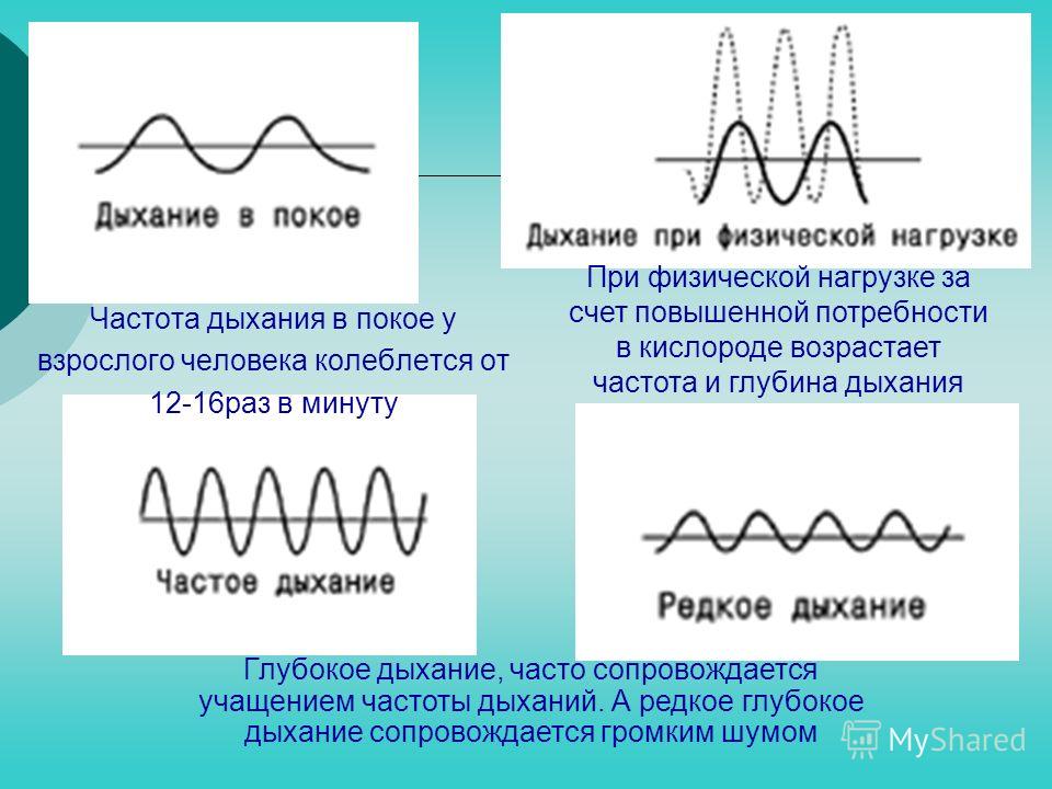 Ритм дыхания. Частота дыхания при нагрузке. Частота дыхания при физических нагрузках. Дыхание при физической нагрузке. Глубина дыхания при физической нагрузке.