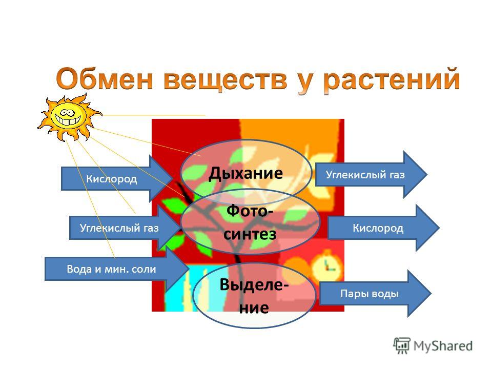 Рассказ обмен