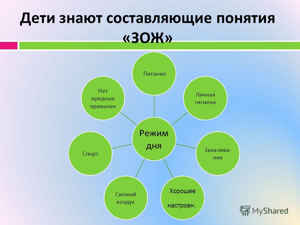 Схема здоровый образ жизни