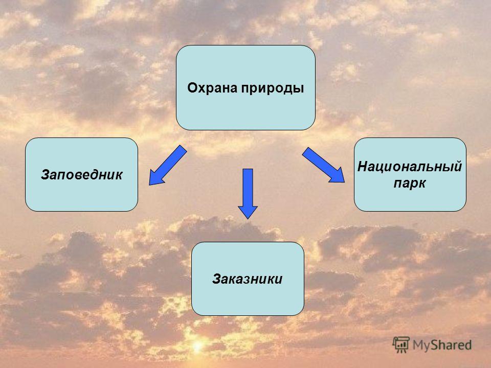 Взаимодействие человека с природой проект