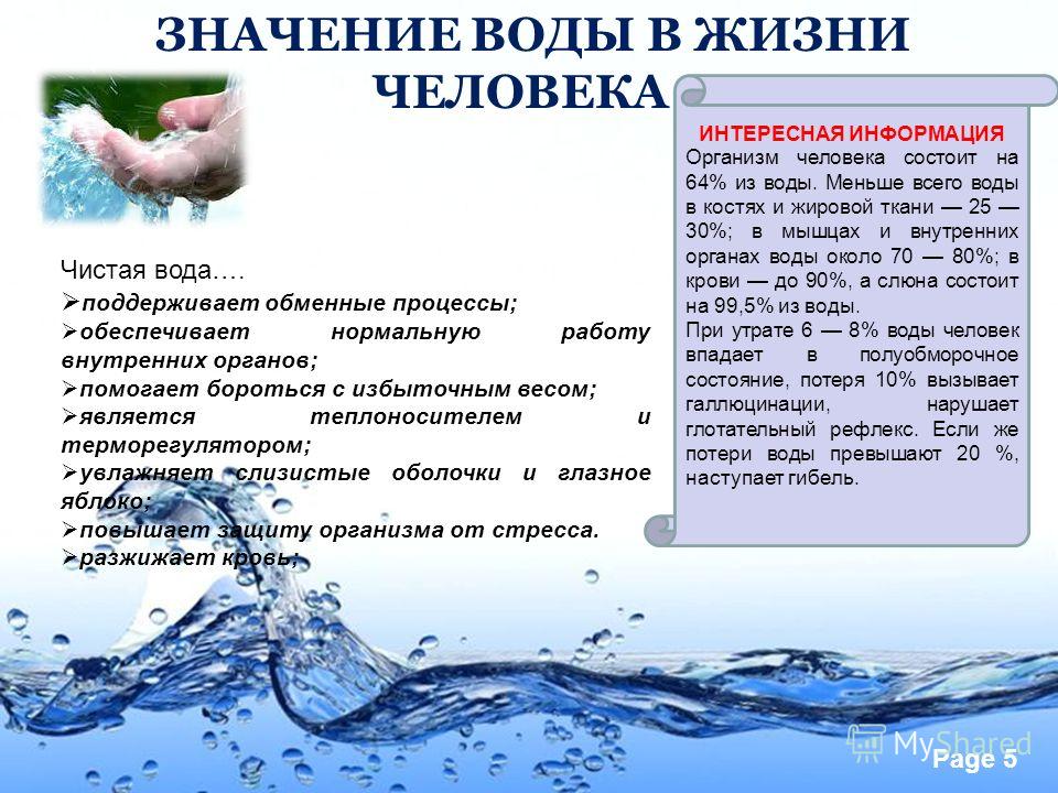 Роль воды в жизни человека проект