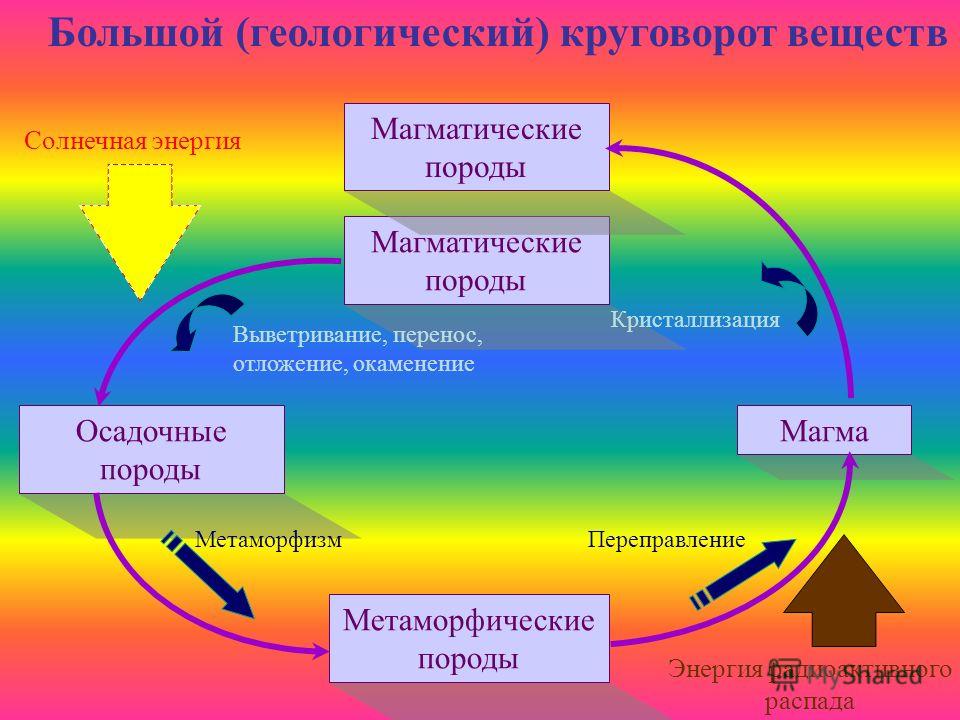 Биологический круговорот почва 6 класс презентация