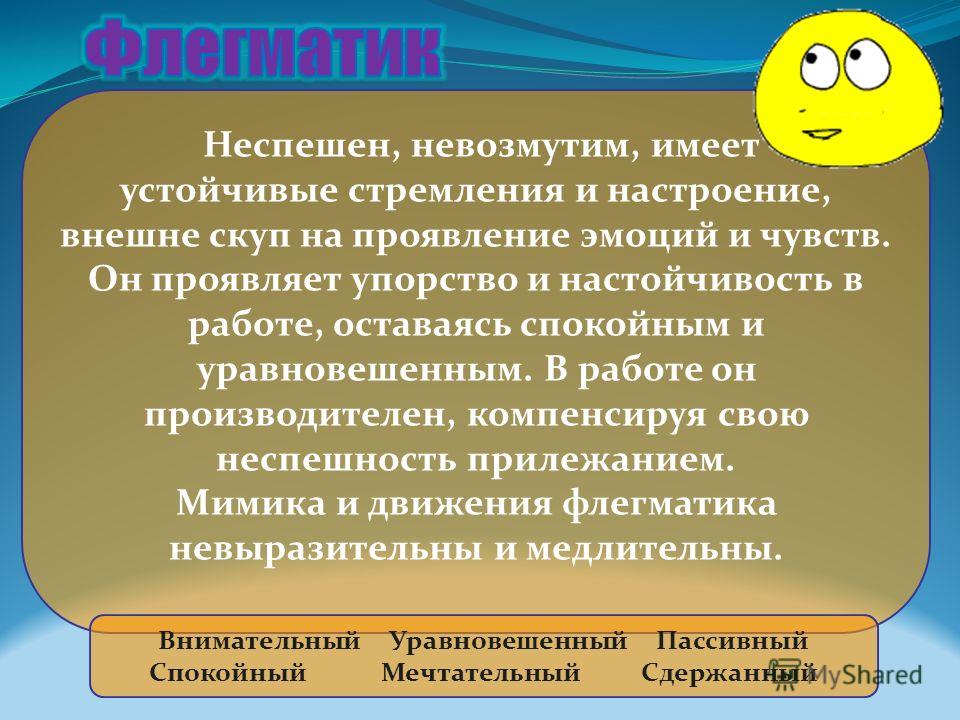 В профессиональном плане для подчиненного флегматика характерно