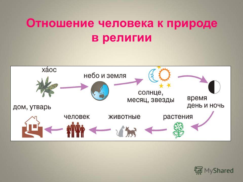 Связь между человеком и живой природой