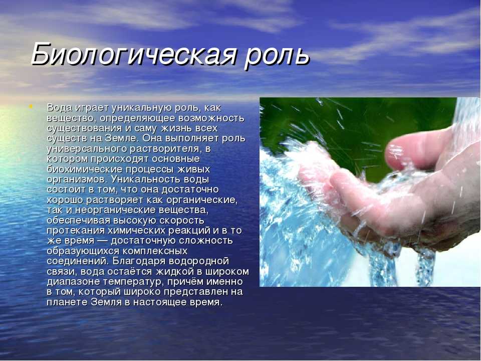 Роль воды в жизни человека презентация