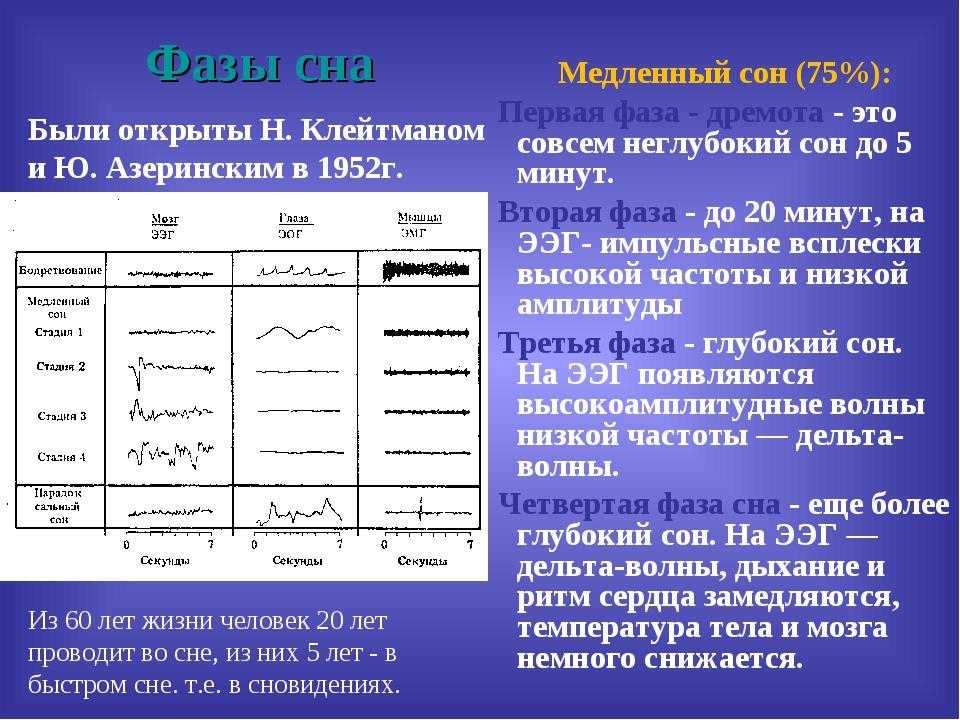 Фазы сна человека картинки