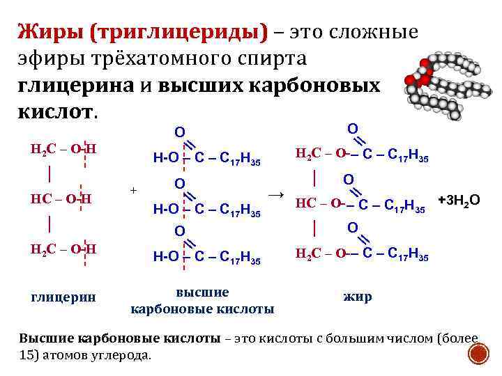 Жиры состоят из остатков