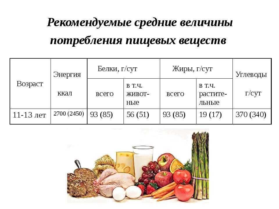 Опишите обмен белков жиров углеводов по плану в каких продуктах в основном содержатся