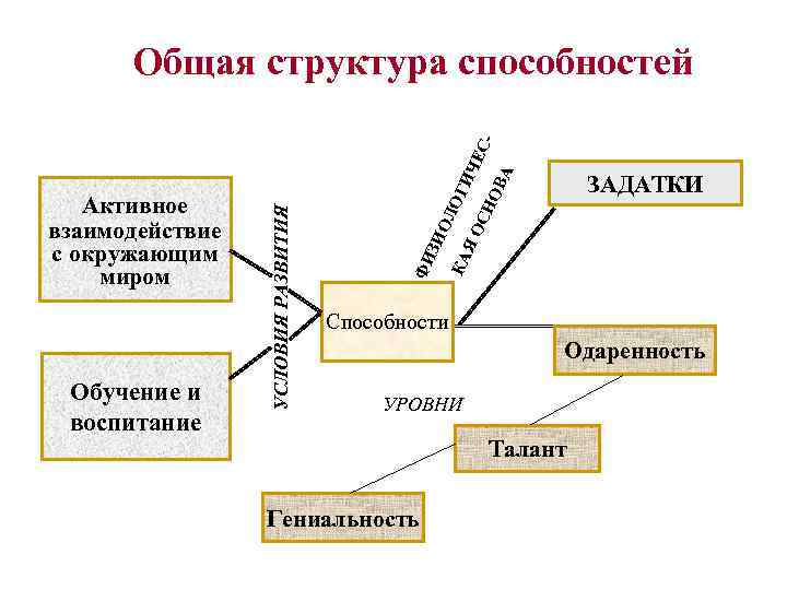 Презентация способности и их развитие