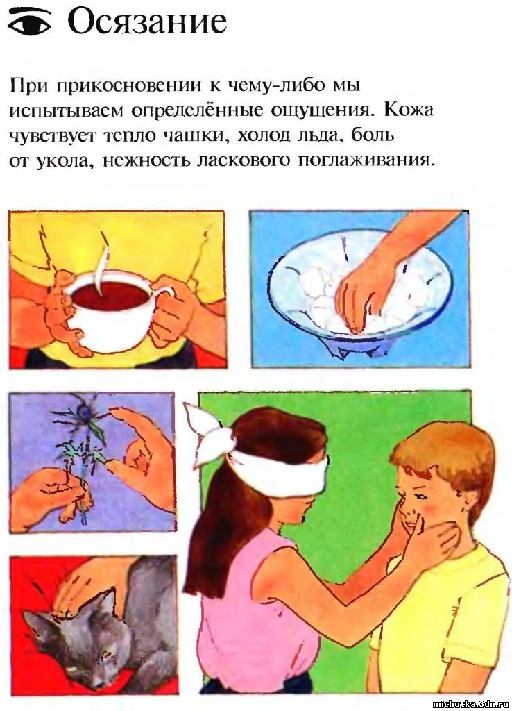 Осязание