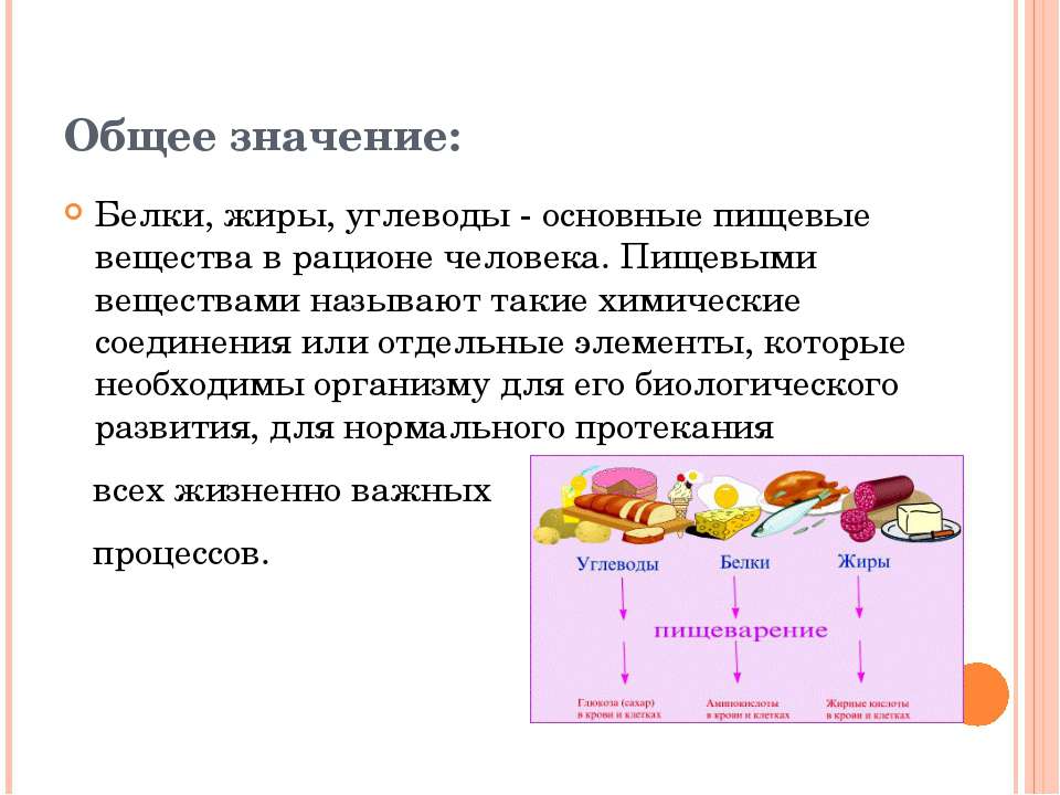 Значение жиров белков и углеводов в питании подростков проект