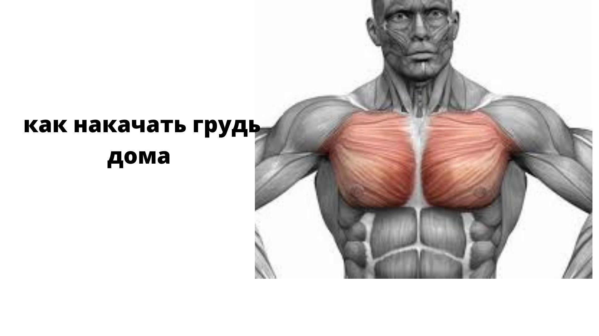 накачиваем мышцы груди для мужчин фото 119