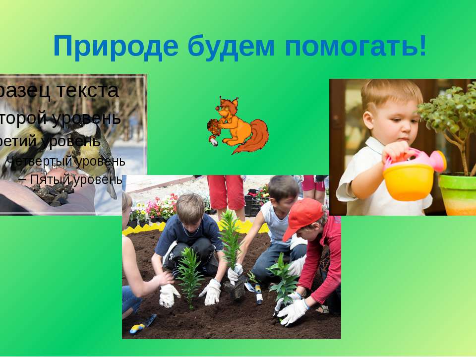 Тема как помочь природе. Поможем природе. Как мы помогаем природе. Поможем природе вместе. Как помочь природе.