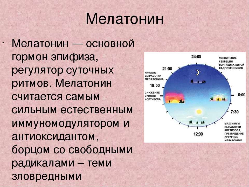 Выработка гормона сна