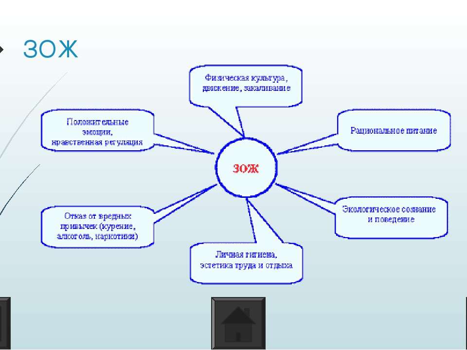Карта зож. Средства здорового образа жизни. Виды здорового образа жизни. Субъект здорового образа жизни это. Классификация ЗОЖ.
