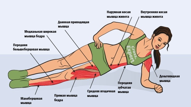 Какие мышцы работают при боковой планке