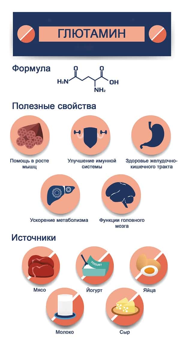 Источники и свойства глютамина