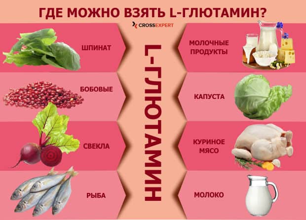 источники глютамина