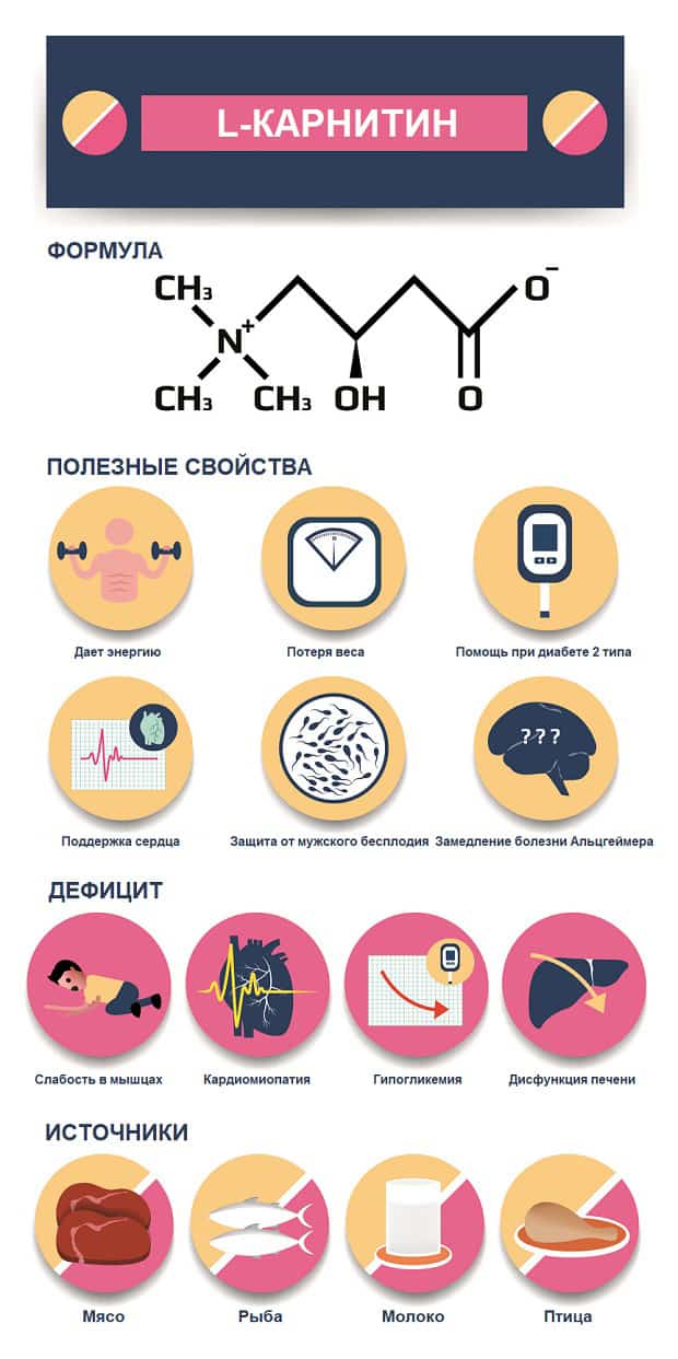 Польза, дефицит и источники карнитина