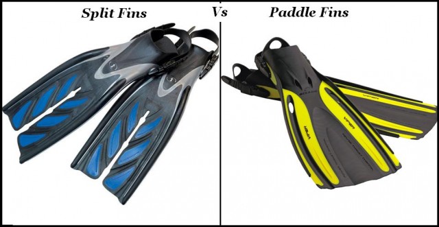 The difference between Split Fins and Paddle Fins?  Split Fins literally have a split and have been divided into two parts.