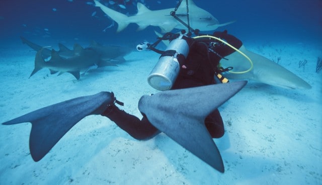 Forced Fins apparently are designed to imitate the tail of fast swimmers like the tuna and whales. No wonder it allows swift movement underwater.