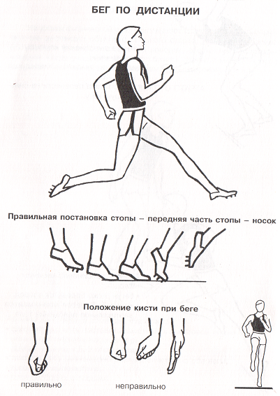 Техника бега для начинающих в картинках