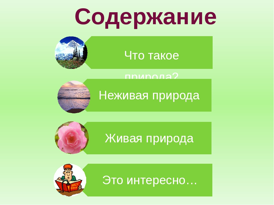 Неживая природа 2 класс. Презентация по окружающему миру Живая и неживая природа. Живая и неживая природа 2 класс. Окружающий мир 2 кл Живая и неживая природа. Презентация Живая и неживая природа 2 класс.